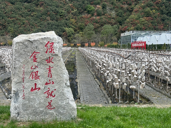 1697514478514349.jpg eab70d78edddc21af03c1d1c4b734ec_副本.jpg